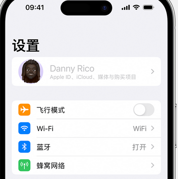 雁塔appleID维修服务iPhone设置中Apple ID显示为灰色无法使用 