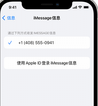 雁塔apple维修iPhone上无法正常发送iMessage信息 