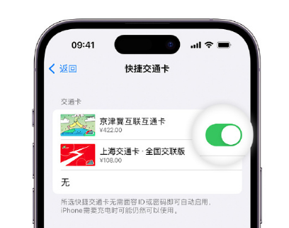 雁塔apple维修点分享iPhone上更换Apple Pay快捷交通卡手绘卡面 