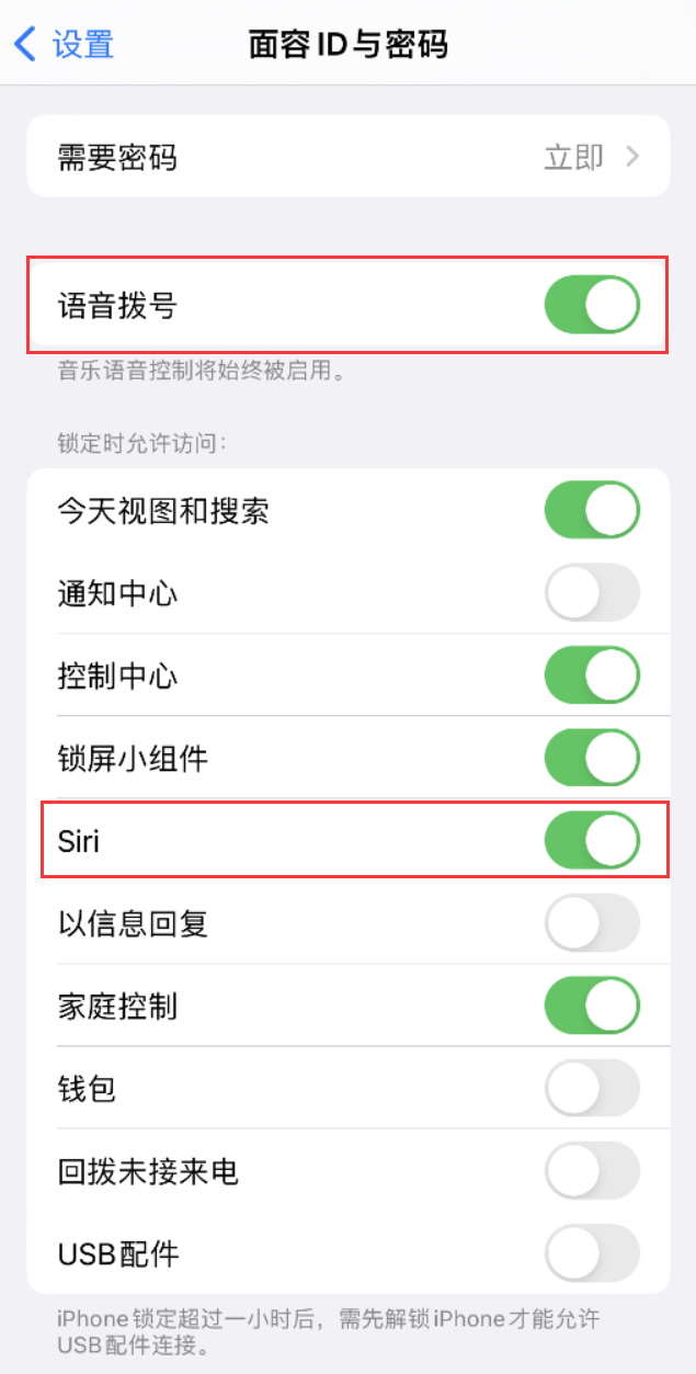 雁塔苹果维修网点分享不解锁 iPhone 的情况下通过 Siri 拨打电话的方法 