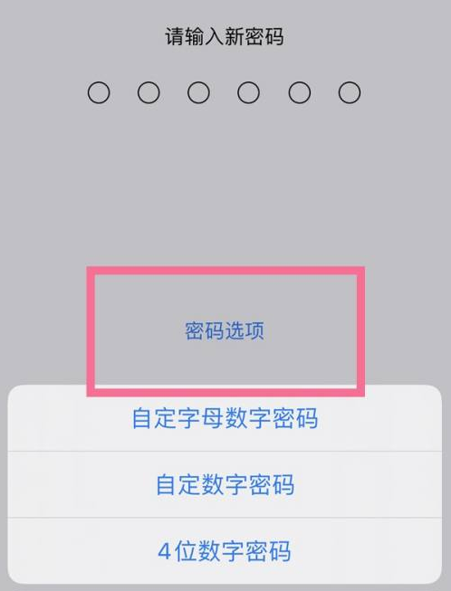 雁塔苹果14维修分享iPhone 14plus设置密码的方法 