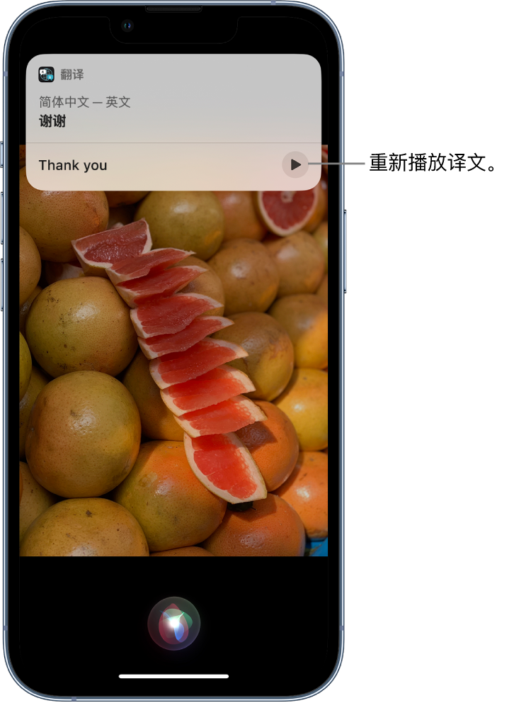 雁塔苹果14维修分享 iPhone 14 机型中使用 Siri：了解 Siri 能帮你做什么 