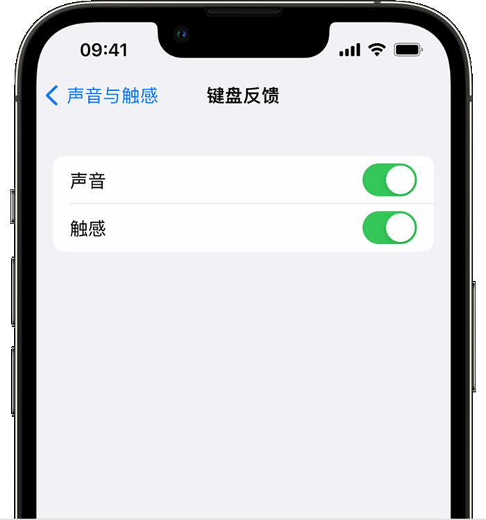 雁塔苹果14维修分享iPhone 14 系列机型如何开启键盘声音或触感反馈 