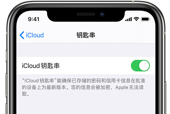 雁塔苹果手机维修分享在 iPhone 上开启 iCloud 钥匙串之后会储存哪些信息 