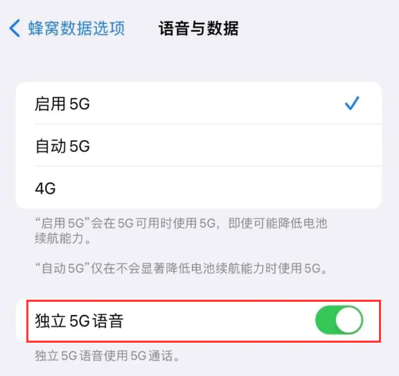 雁塔苹果14维修分享iPhone 14 Pro如何开启VoNR 
