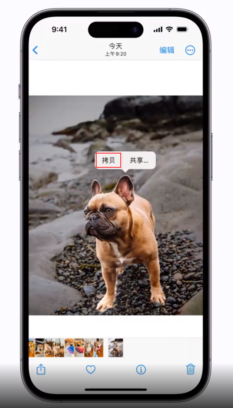 雁塔苹果手机维修分享 iOS 16 自带一键抠图功能 
