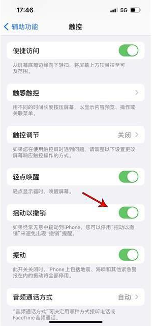 雁塔苹果手机维修分享iPhone手机如何设置摇一摇删除文字 