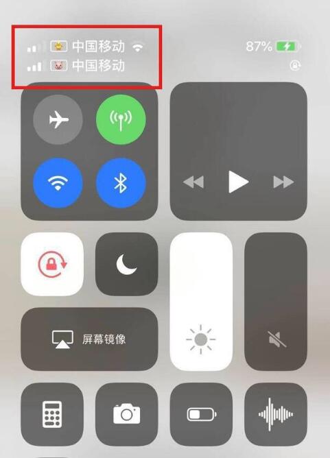 雁塔苹果手机维修分享为 iPhone 12 双卡设置标签 