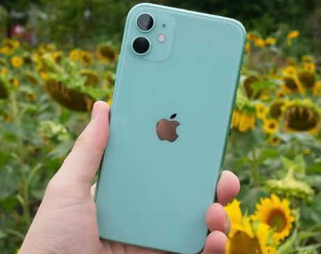 雁塔苹果维修点分享iPhone 11锁屏密码认知与使用科普 