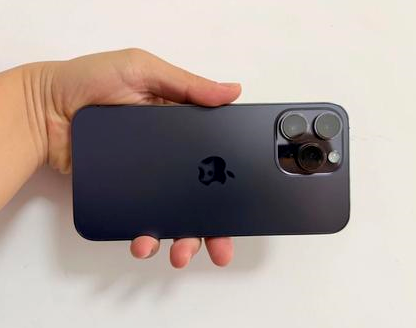 雁塔苹果维修点分享iPhone 14 Pro Max发烫多重诱因剖析 
